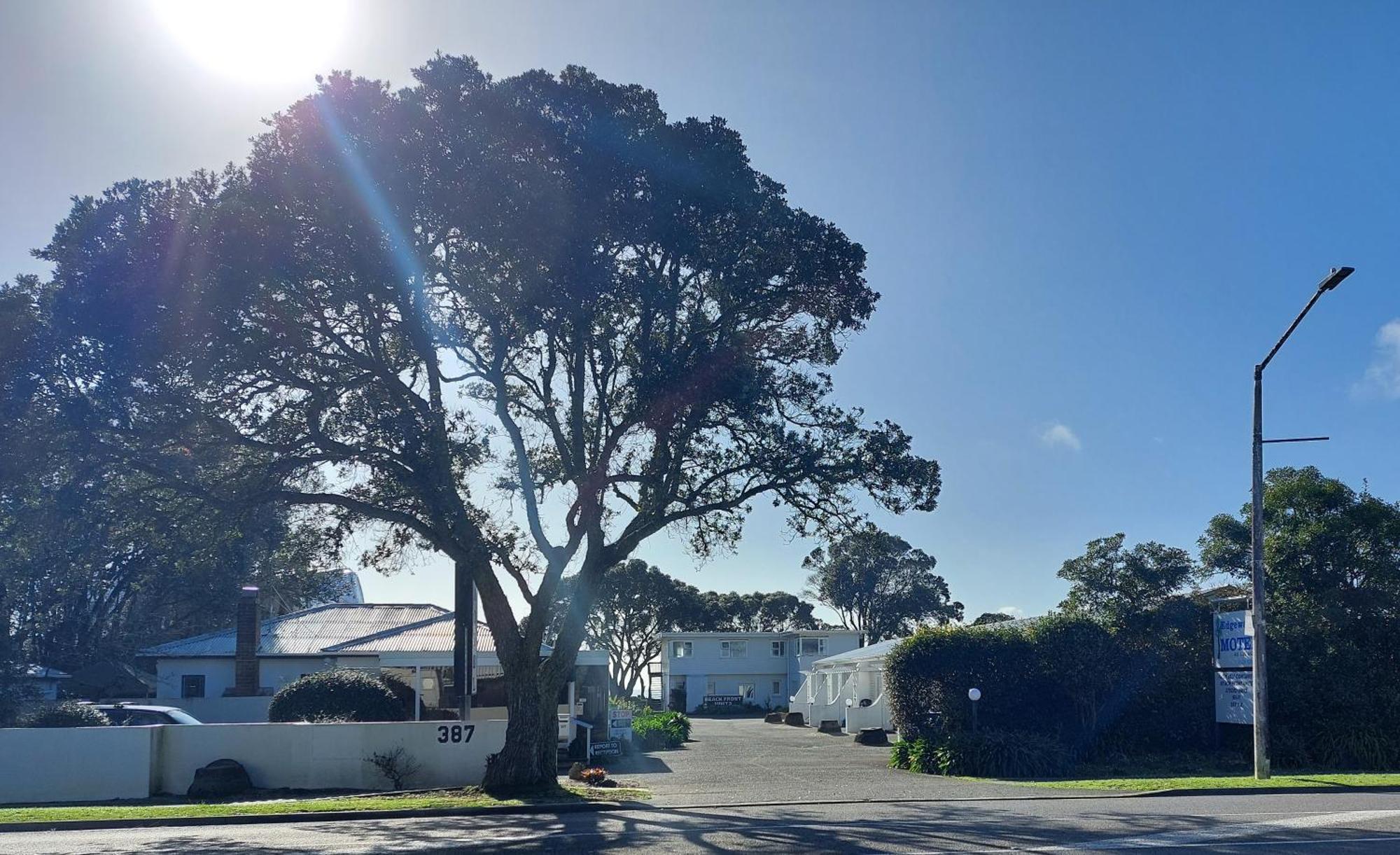 Edgewater Motel Orewa Zewnętrze zdjęcie